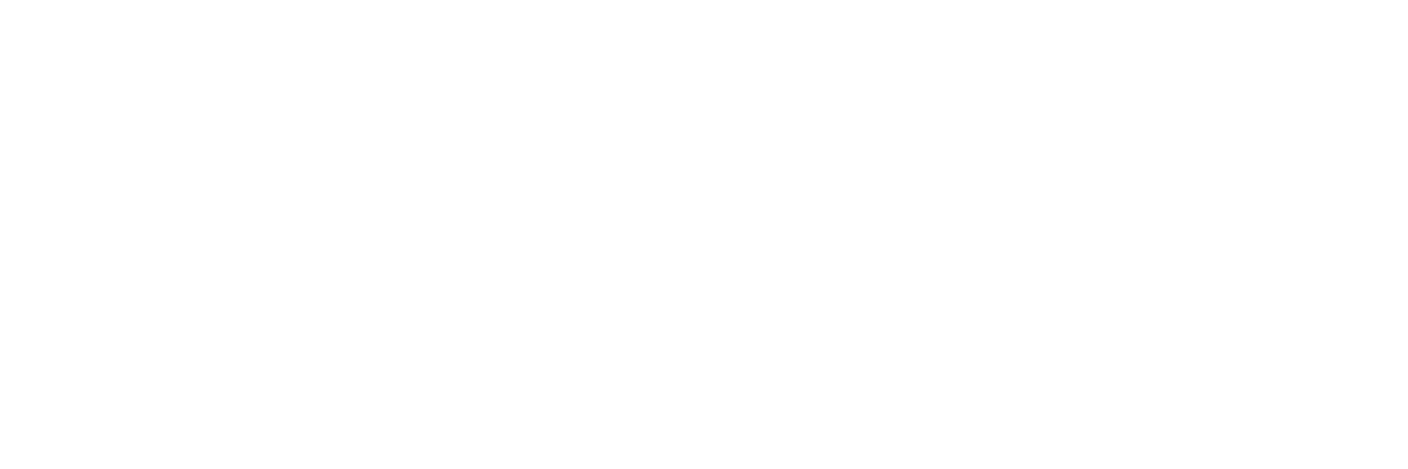 Prismatic Digital Growth Strategy